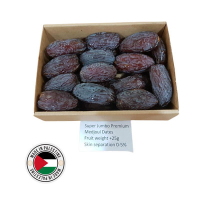 Medjoul Dadels Super Jumbo Premium Palestina QAMAR - 1KG - Palestine Gardens - SUNNACO